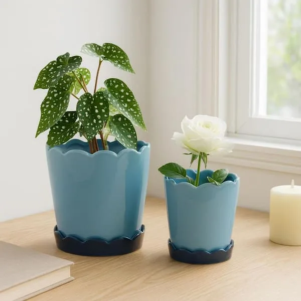 MCarr 6pc Mix 8"x8"x5.7" Round Scalloped Pot Assorted Colors Dark Blue, Light Blue, Cream, Green, Orange, Black (Case of 6) - Image 2
