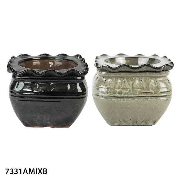MCarr 7.Self Water Scallop Pot Mixed Asst - Image 2