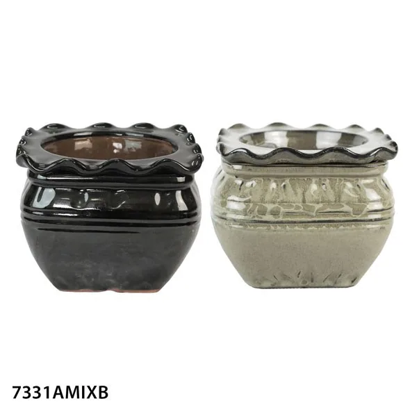 MCarr 7.Self Water Scallop Pot Mixed Asst