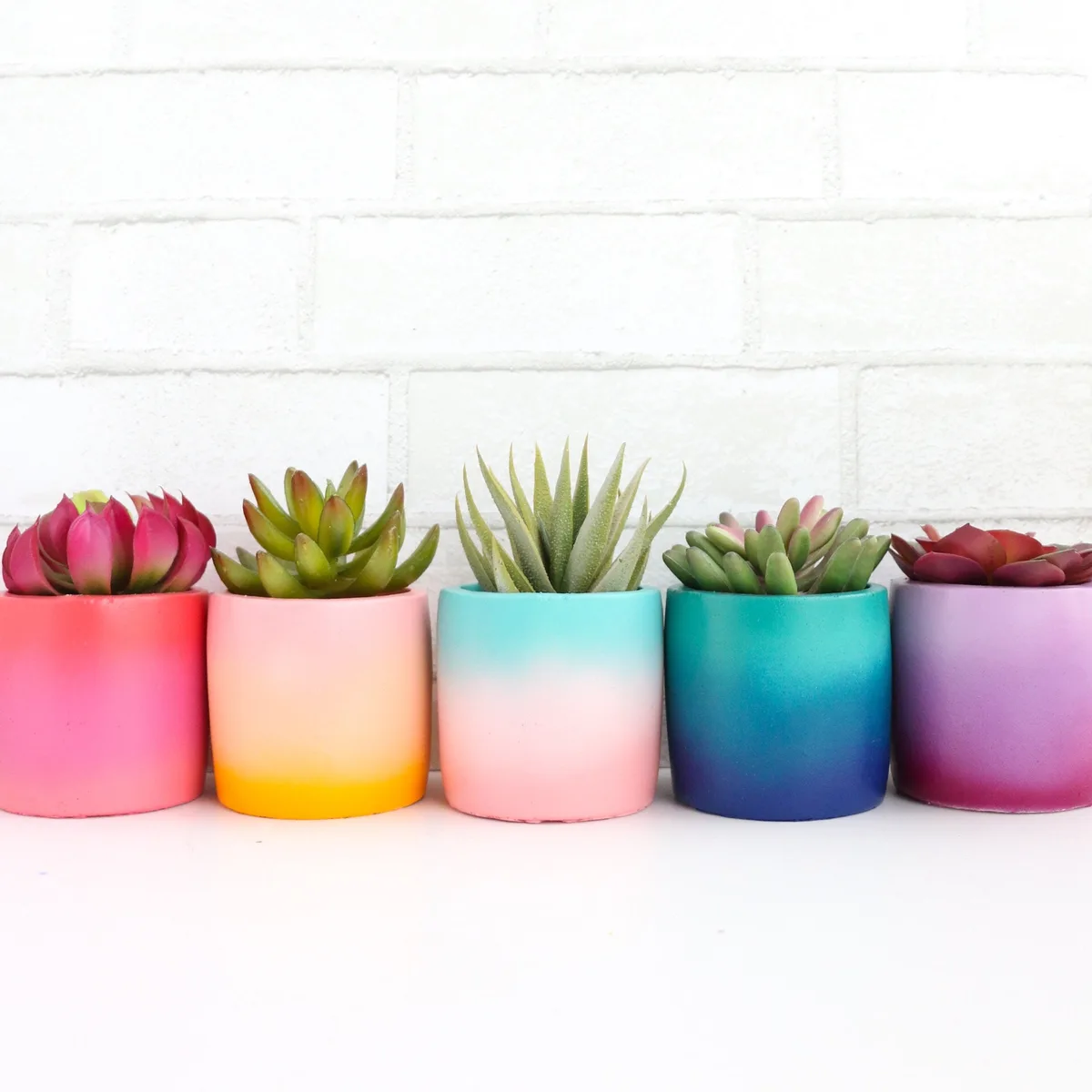 MCarr 81pc Egg Planter Pallet Bright Colors - Image 2