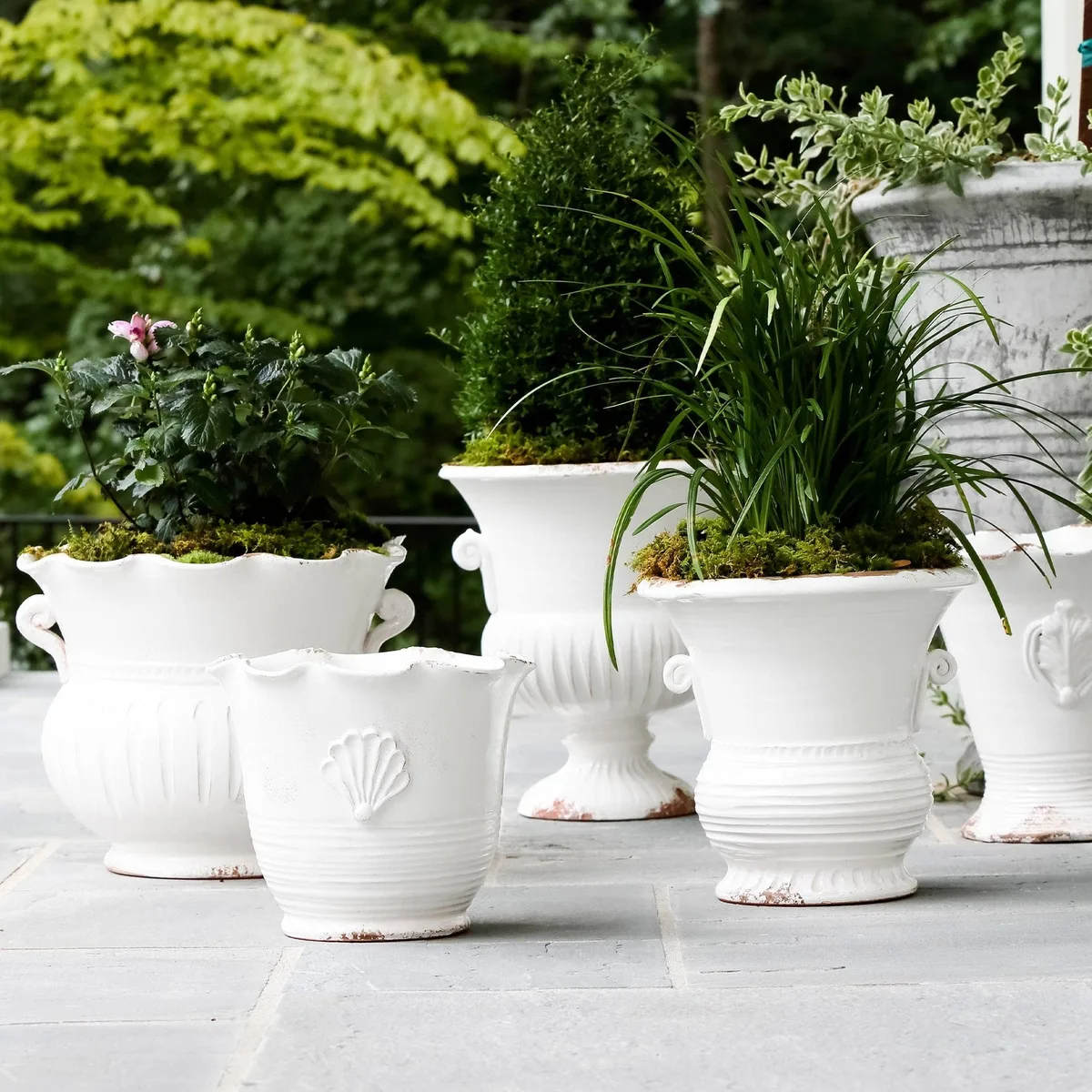 MCarr 8pc Tall Scallop Planter Pallet Antique White - Image 2