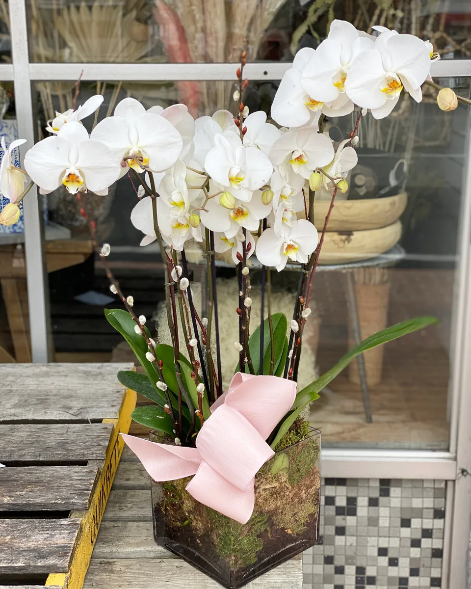 MCarr Tall Floral Orchid Pot Mixed Asst - Image 2