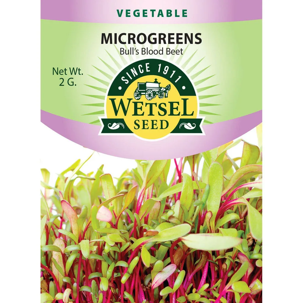 Microgreens, Bull's Blood Beet 2 Grams - Image 2