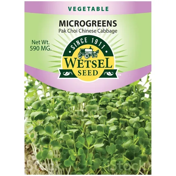Microgreens, Pak Choi Chinese Cabbage 590mg - Image 2