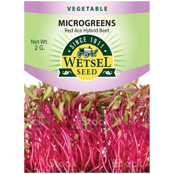 Microgreens, Red Ace Hybrid Beet 2 Grams