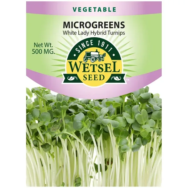 Microgreens, White Lady Turnip 500mg - Image 2