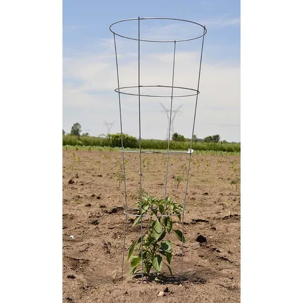 Midwest Wire Works 54" Cage 4 Ring 4 Leg - Image 2