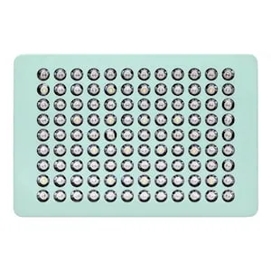 MINT LED 400 LED Panel (220 Watt)