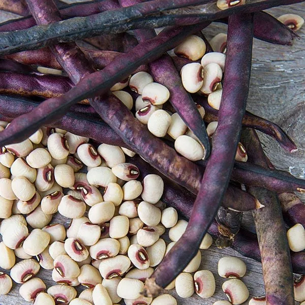 Mississippi Pinkeye Peas 50 lbs - Image 2