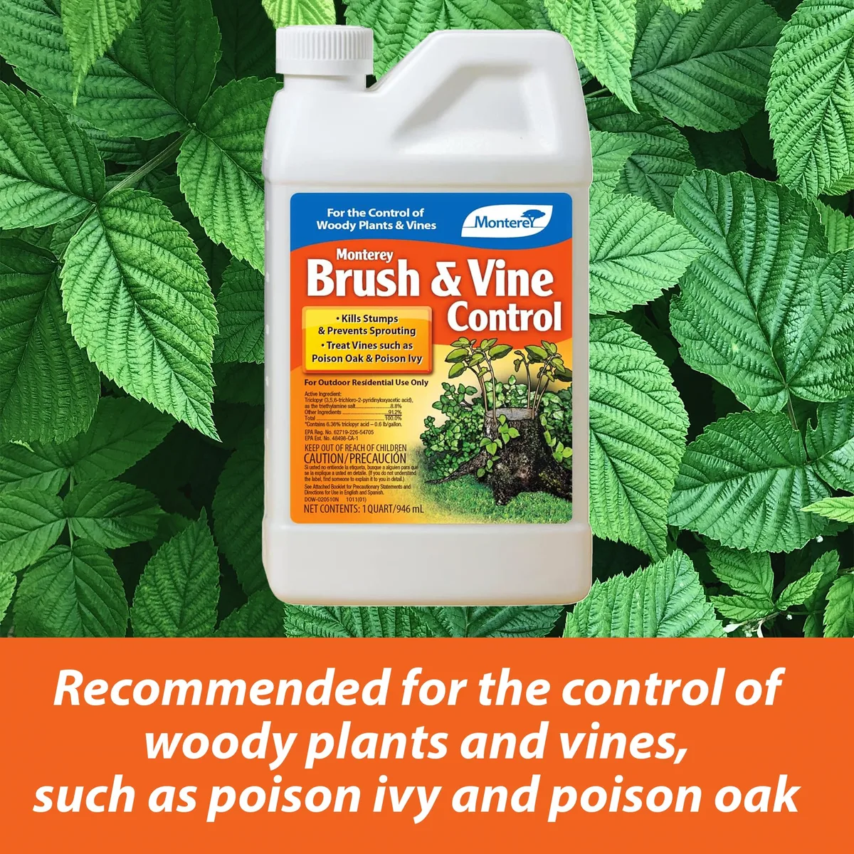 Monterey Qt Brush & Vine Control — Case of 6 - Image 2