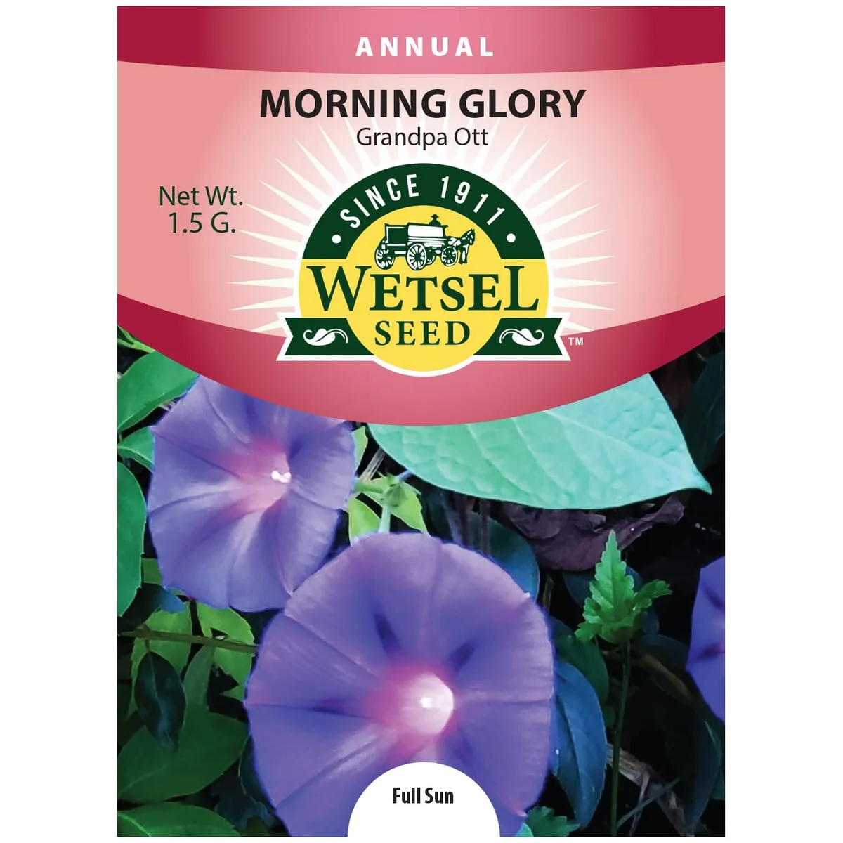 Morning Glory, Grandpa Ott 1.5 Grams - Image 2