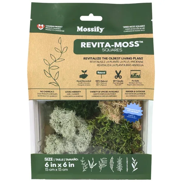 Mossify Revita-Moss Mixed Pack - Image 2