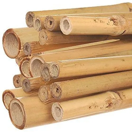Natural Bamboo Stakes 6ft 12-14mm (200pcs/Bale) - Image 2