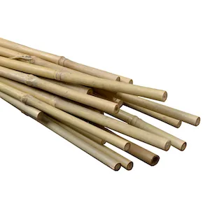 Natural bamboo stakes (800872)