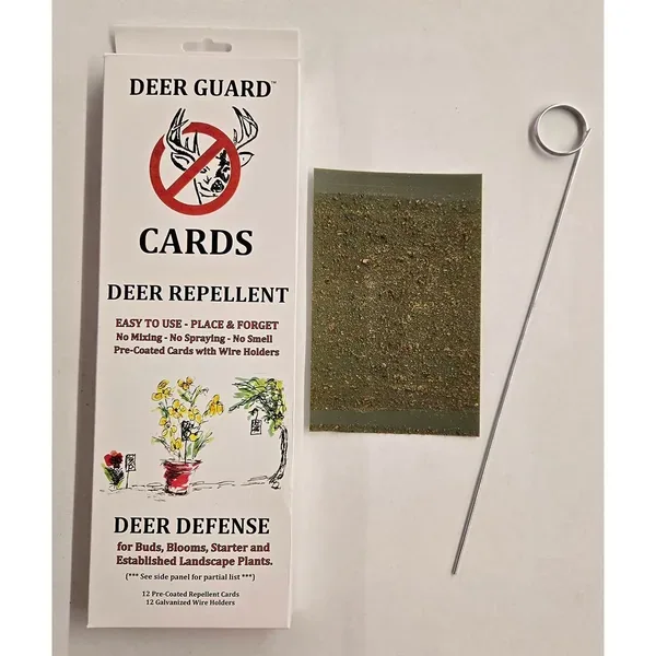 Olson 12ct 4in x 6in Stiky Deer Cards with Wire Holders - Image 2
