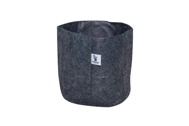 Palm Spring 2.5"x2.5" Cube Cache Pot - Image 2