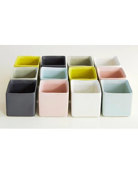 Palm Spring 2.5"x2.5" Cube Cache Pot