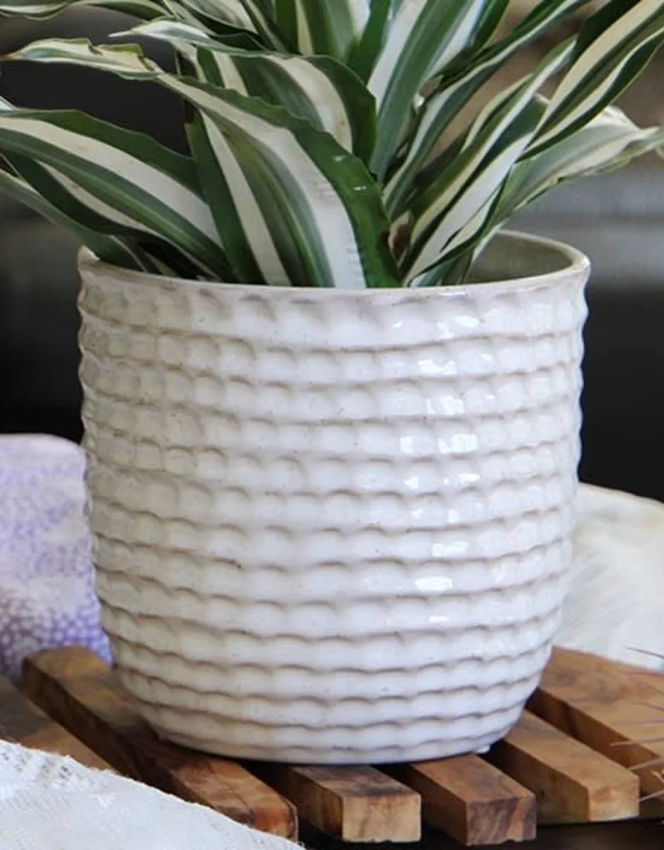 Palm Spring 5.5" Brush Comb Dnm Planter - Image 2