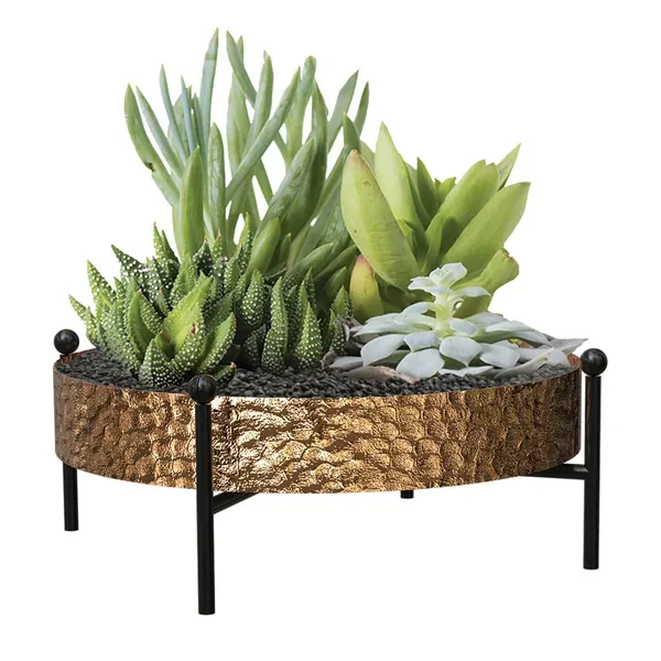 Panacea 10" Succulent Tray with Stand Hammered Copper Finsh - Image 2