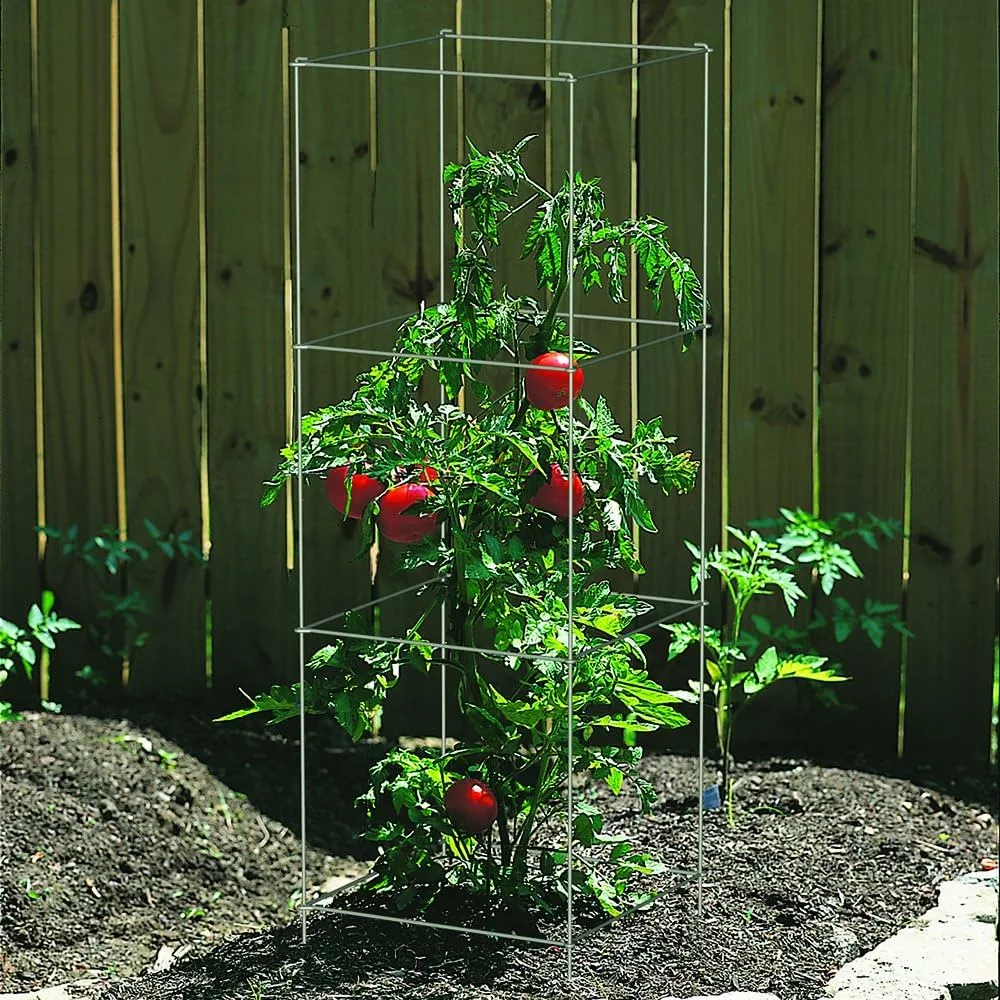 Panacea 30pc 72" Tomato 4 Leg Plant Support Red/Black (Case of 30) - Image 3