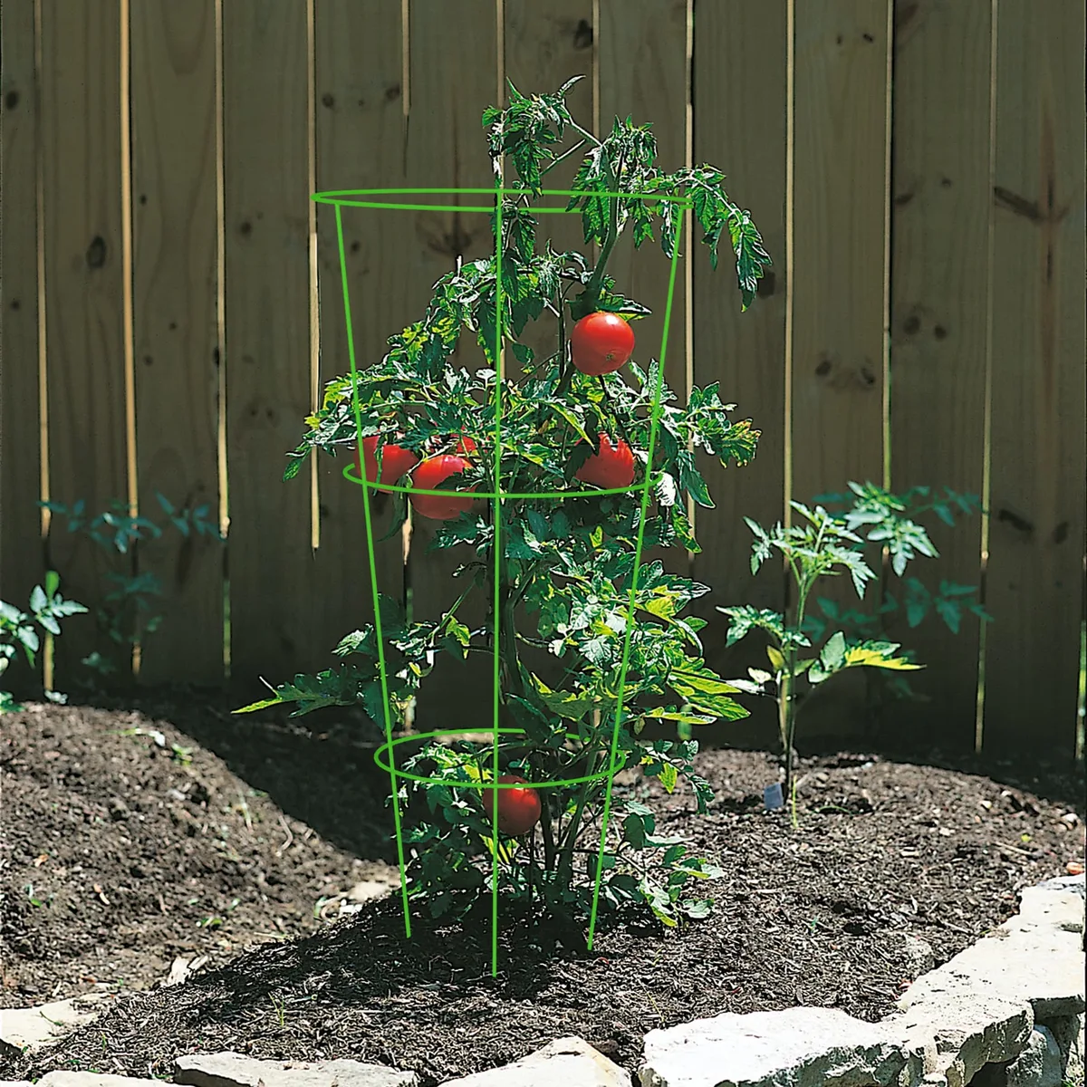 Panacea 42" Galvanized Tomato Cage
