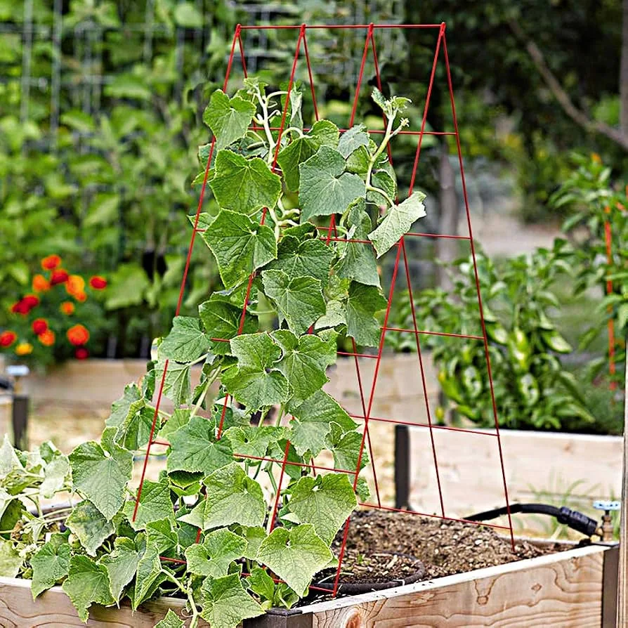 Panacea Raised Planter A Frame Trellis