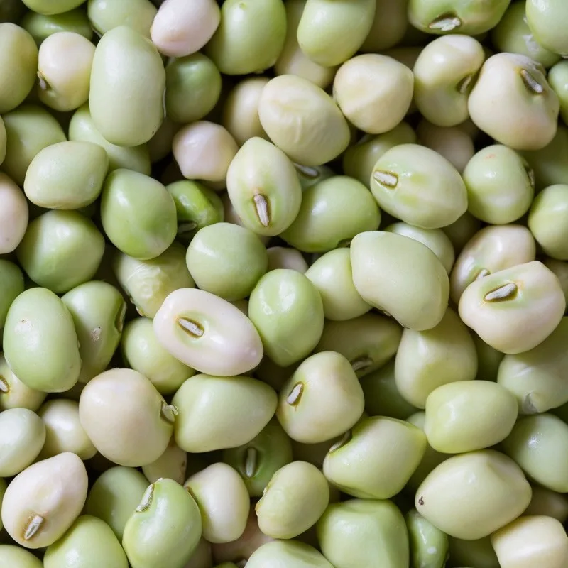Peas, Cream Zipper 1lb - Image 2