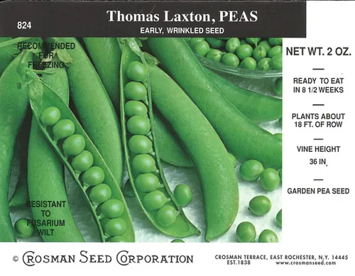 Peas, Thomas Laxton 1/2lb