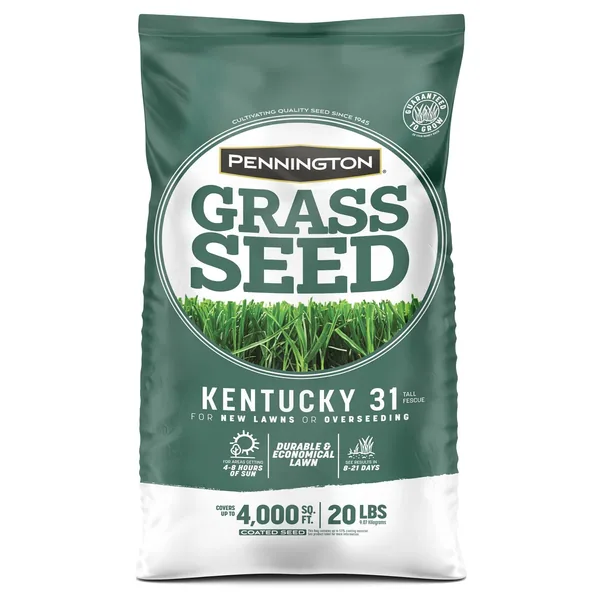 Central Garden & Pet Penn 20 lbs Kentucky 31 Fescue Pk Pencoted