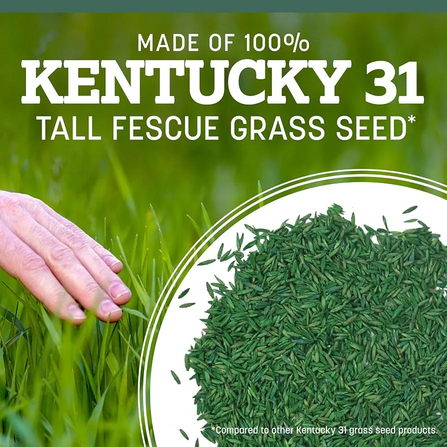 Penn 3 lbs Kentucky 31 Fescue Pk Pencoted - Image 2