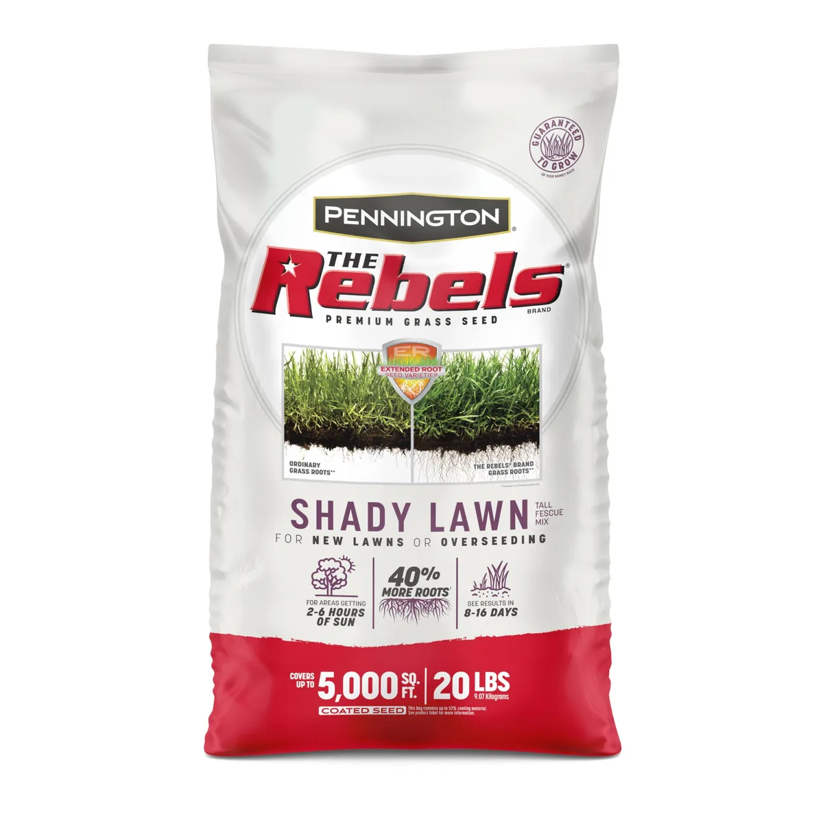 Penn 3 lbs The Rebels Shady Lawn Mix Pc - Image 2