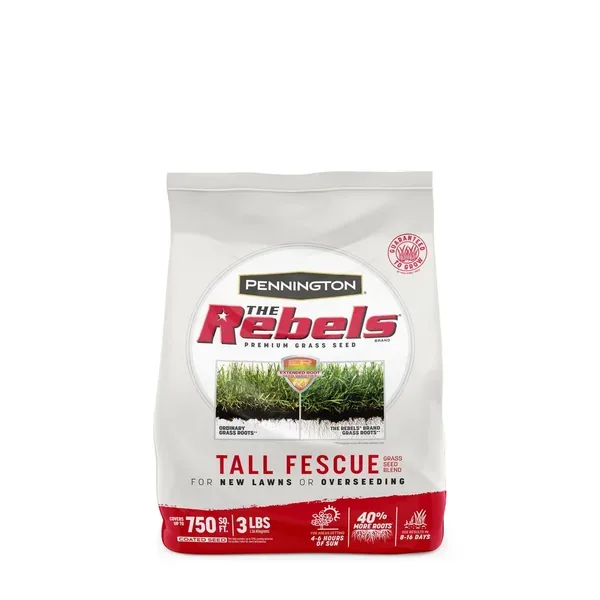 Penn 3 lbs The Rebels Tall Fescue Blend Pc - Image 2