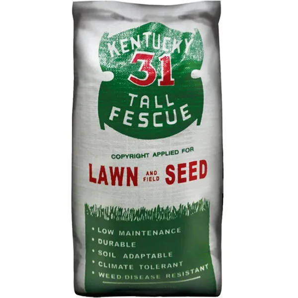 Penn 50 lbs Kentucky 31 Tall Fescue 95/85 - Image 2