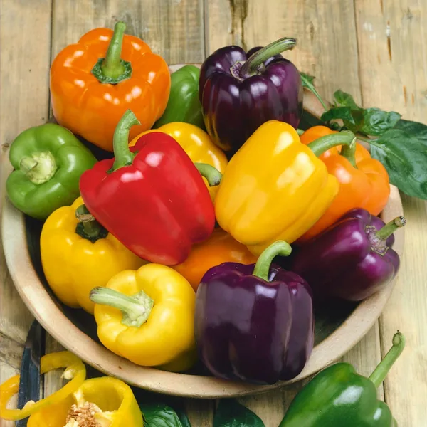 Peppers, Rainbow Bell Blend 500 Seed Count