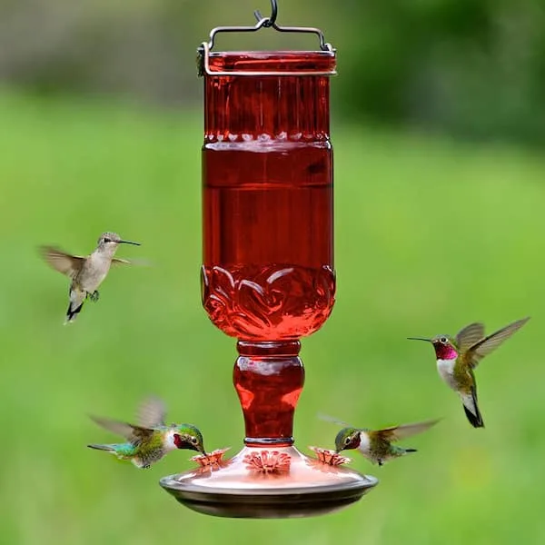 Perky Pet 24oz Bottle Feeder Red Antique - Image 2