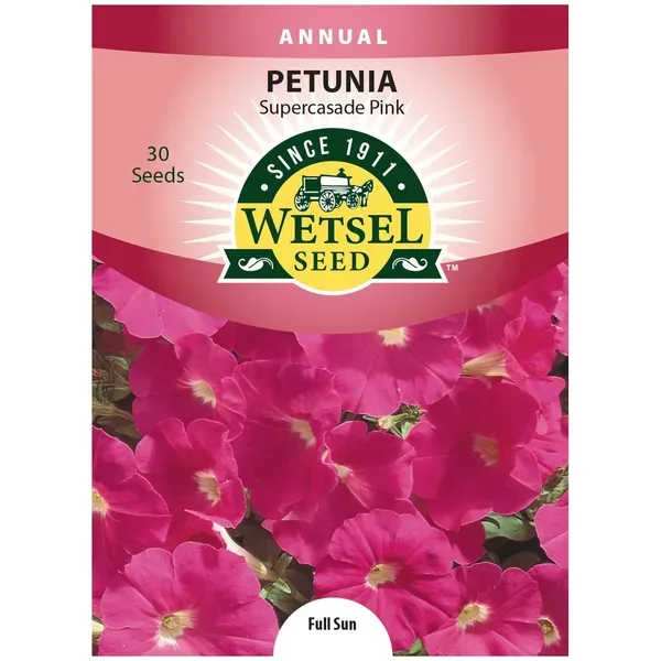 Petunia, Pink Supercascade 30 Seed Count - Image 2