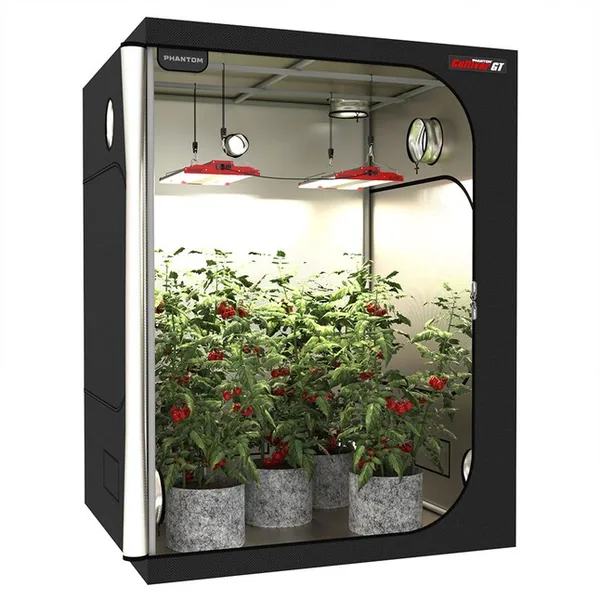 PHANTOM Cultivar GT55, 5X5 Grow Tent, 60" X 60" X 80"