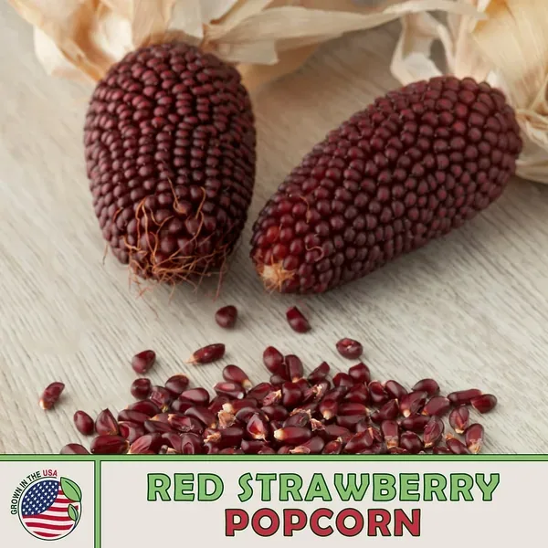 Popcorn, Red Strawberry 1/2lb - Image 2