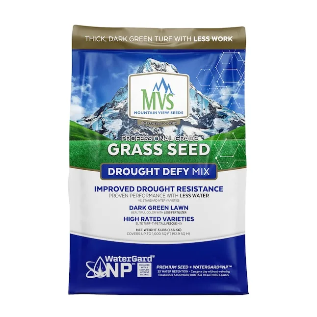 Premium 10 lbs Fescue W/10% Bluegrass Blend — Case of 5 - Image 2