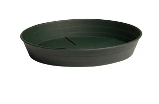 Premium Green Saucer, 10", pack of 25