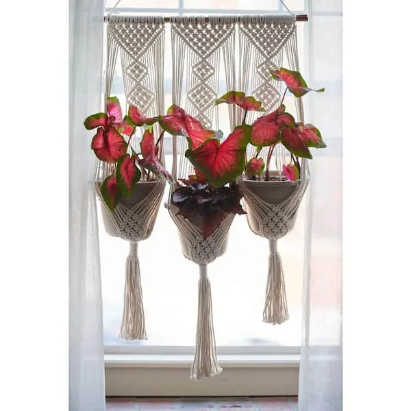 Primitive Wall Planter V - Image 2
