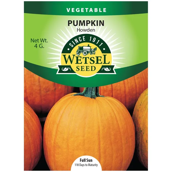 Pumpkin, Howden 4 Grams