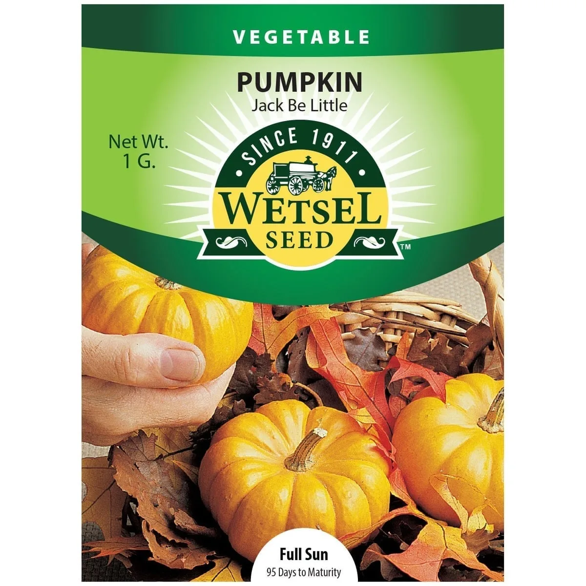 Pumpkin, Jack B Little 1 Gram - Image 2