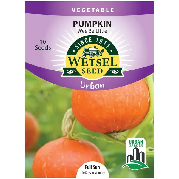 Pumpkin, Wee Be Little ( Patio ) 10 Seed Count