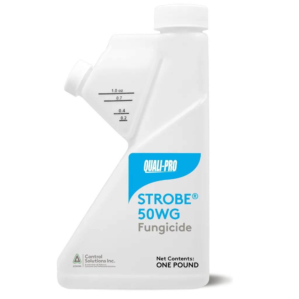 QP Strobe Pro G 30lb ( Azoxystrobin, Propiconazole ) - Image 2