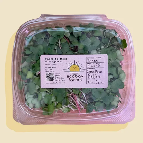 Radish, China Rose Winter 1/2oz