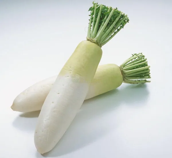 Radish, White Chinese Celestial 1/2oz