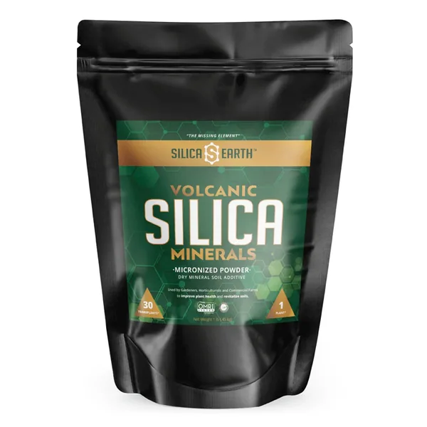 Silica Earth Volcanic Silica Minerals Micronized Powder