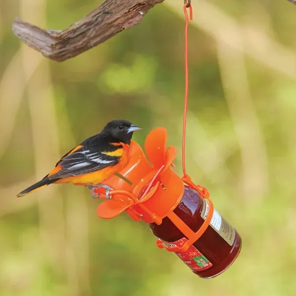Songbird Essentials Fliteline Jelly & Jam Oriole Feeder - Image 2