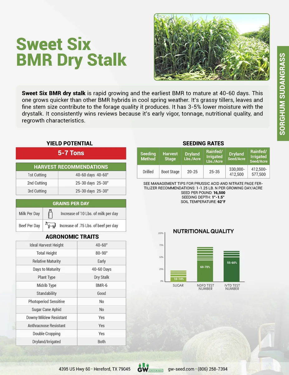 Sorghum, Sweet Six BMR Dry Stalk 50 lbs - Image 2